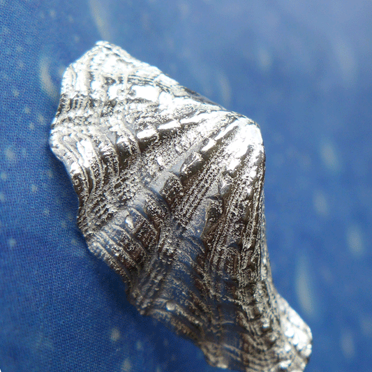 Riesenmuschel Taucher Ohrstecker Schmuck