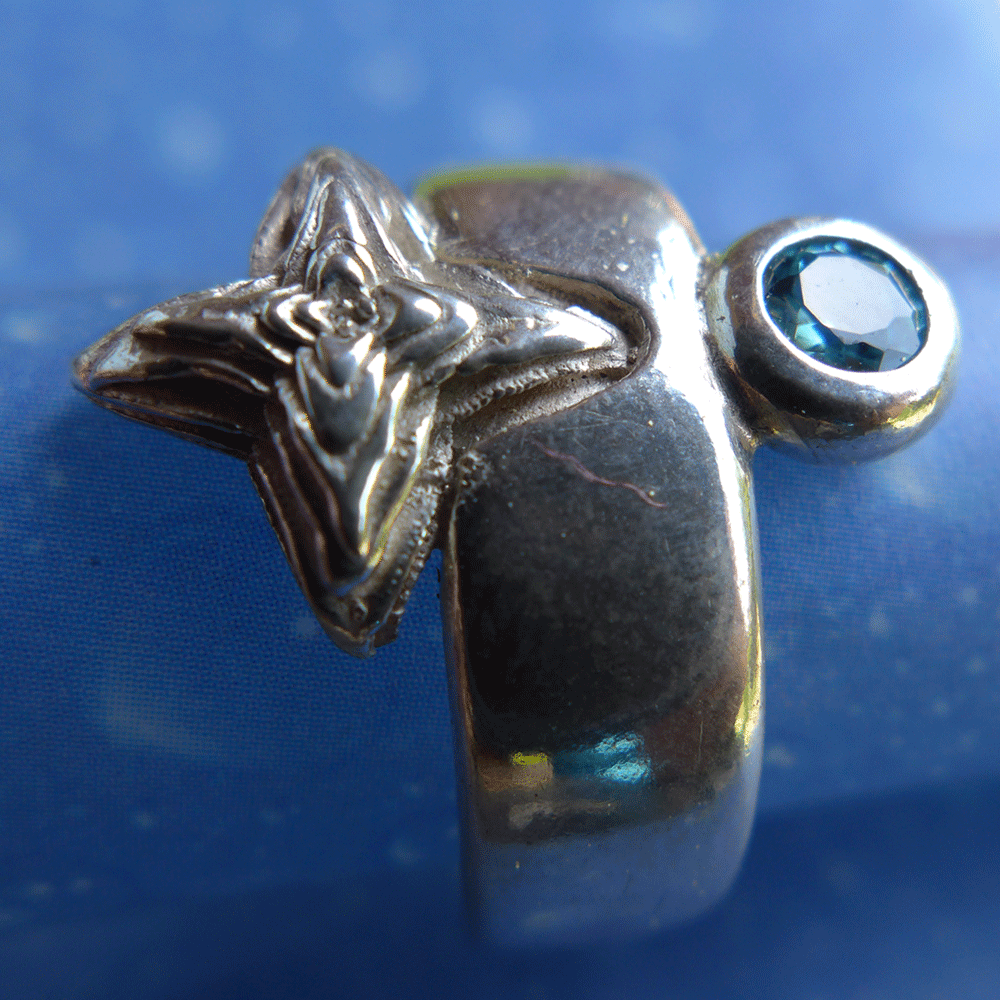 Sukkulente Schmuck Silber Design