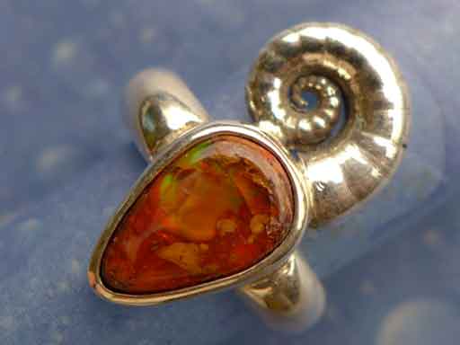 Posthornschnecke mit Feueropal Ring