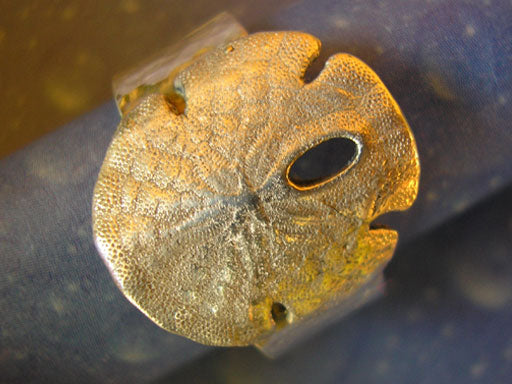 Seeigel Ring Sanddollar Silber Schmuck