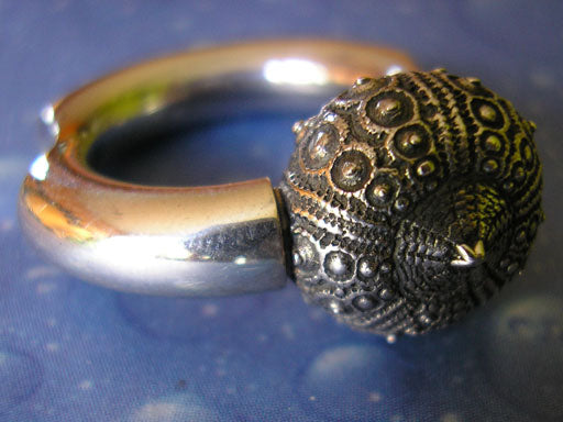 Runder Ring Galapagos Seeigel