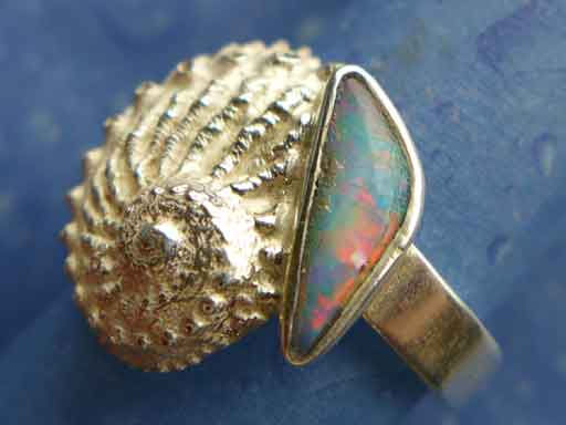 Hübsches Meerohr Abalone mit Opal Ring
