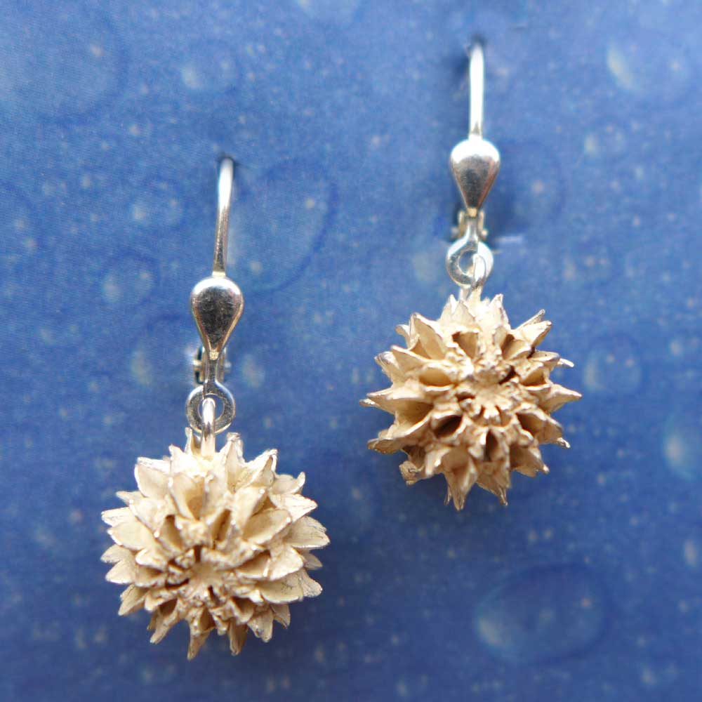 Samen Schmuck Casuarine Ohrhänger