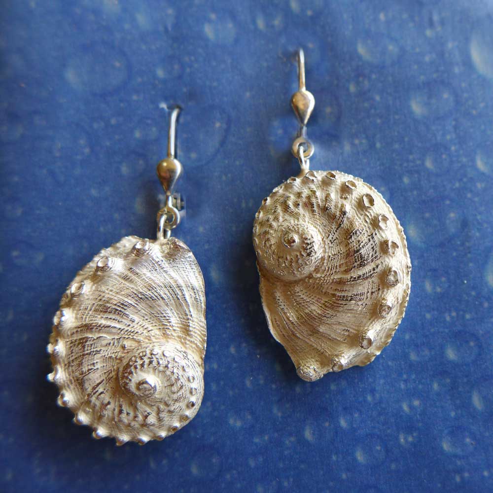 Schmuck Abalone Meerohr Ohrhänger