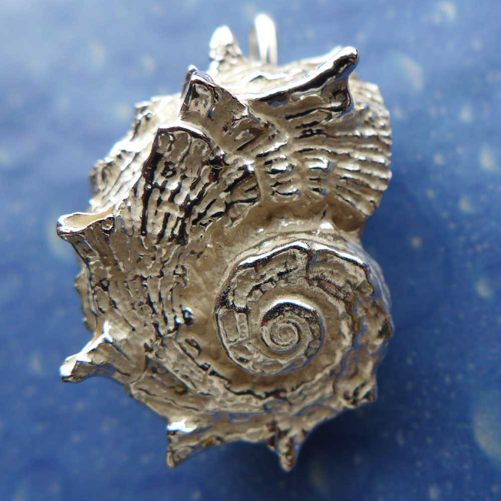 Schmuck Anhänger Delfinchen Schnecke