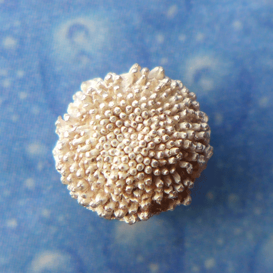 Blüten Ohrstecker Kamille Silberschmuck m