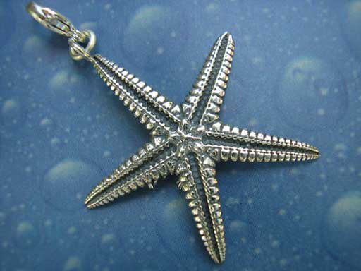 Schmuck Charm Seestern Silber