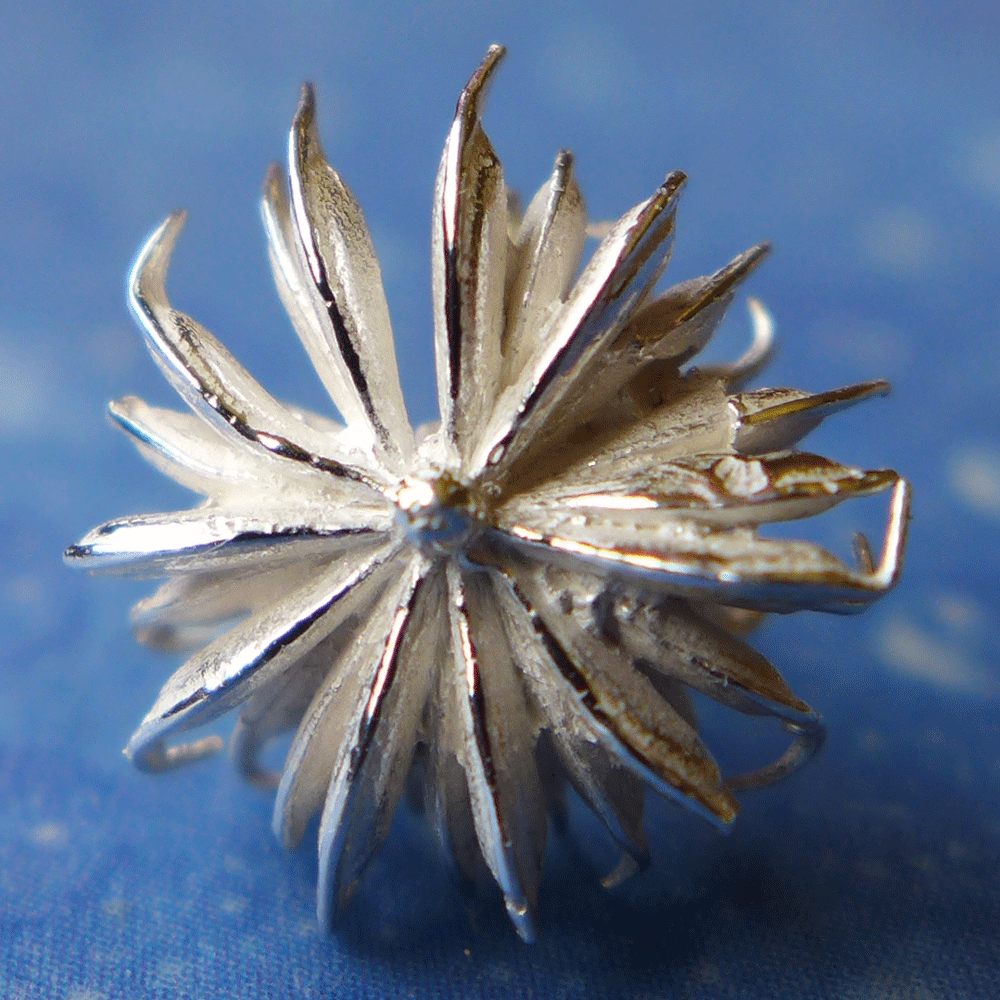 Schmuck für Blumenkinder Nelkenwurz