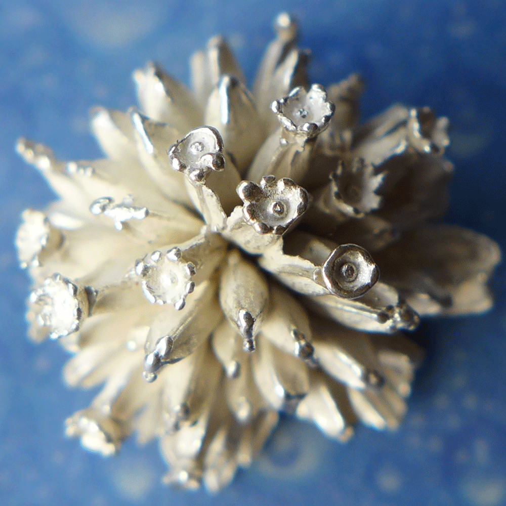 Teufelsabbiss Schmuck für Blumenkinder