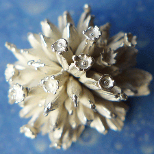 Teufelsabbiss Schmuck für Blumenkinder