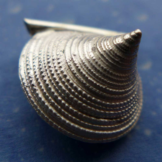 Schmuck Kreiselschnecke Anhänger