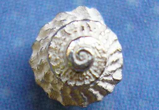 Schmuck Ohrstecker Schnecke Mini