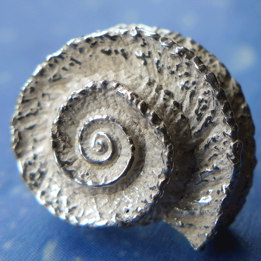 Noble Sonnenuhrschnecke Schmuck online