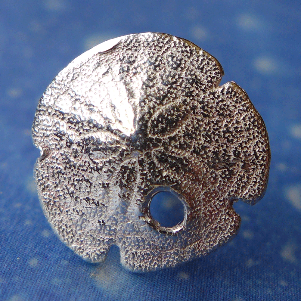 Schmuck Seeigel Sanddollar Ohrringe Stecker xxs