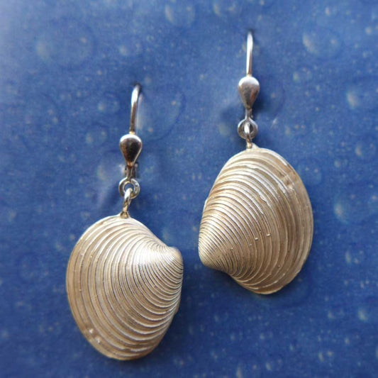 Schmuck Venusmuschel Ohrringe Silber