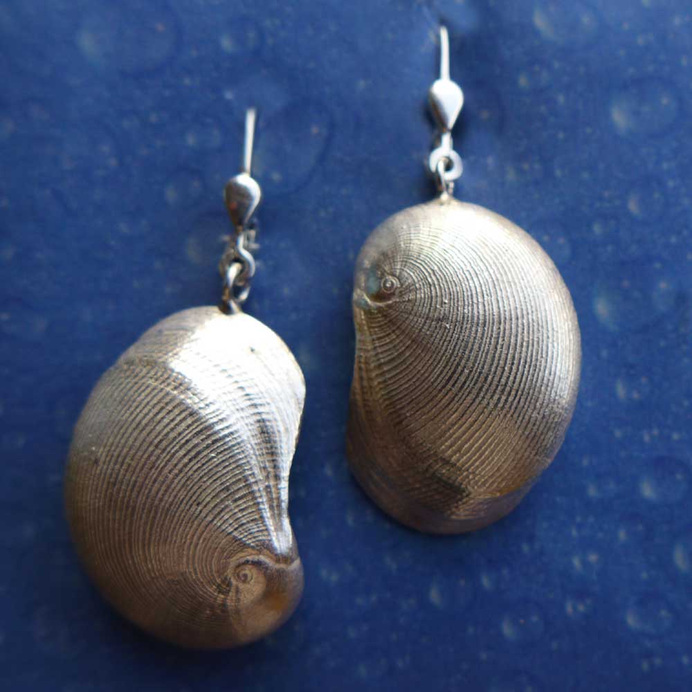 Schmuck vom Meer Ohrringe Silber