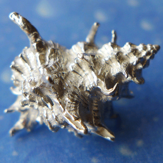 Schmuckdesign Rosa Stachel Schnecke Ohrstecker