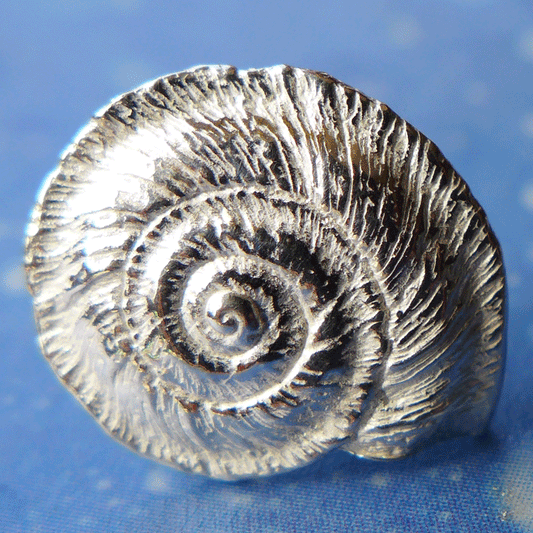 Schmuckdesign Sonnenuhrschnecke Ohrstecker Silber