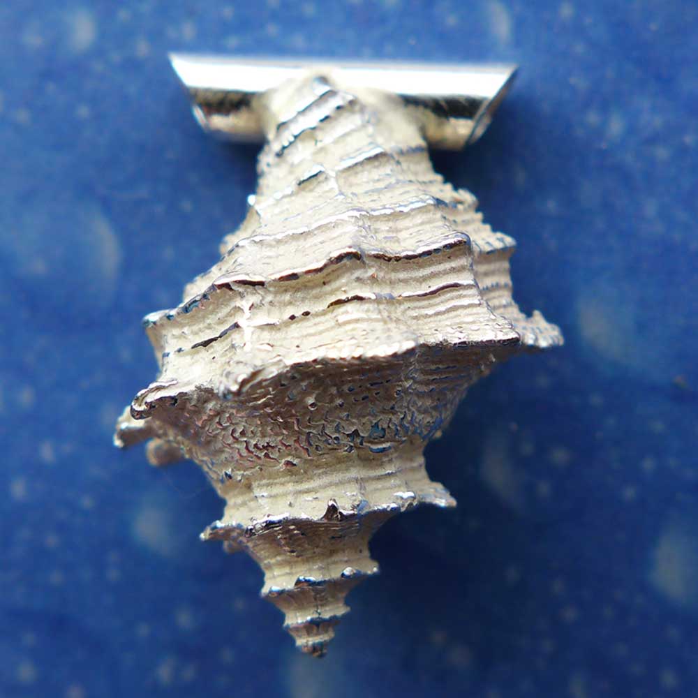 Schnecken Anhänger Silber Felsschnecke