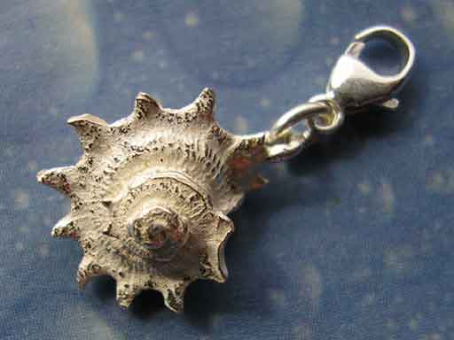 Schnecken Charm Silber Sonne