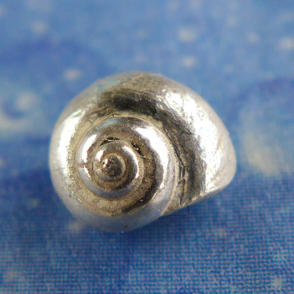 Ohrstecker Schnecke Silber Knopf s