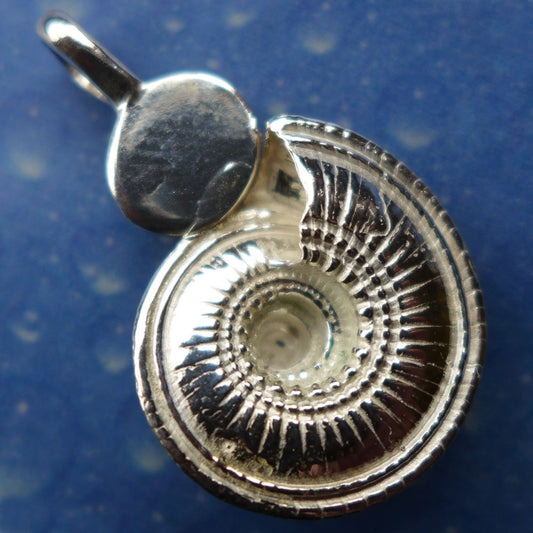 Schneckenhaus Schmuck Silber Anhänger Kette