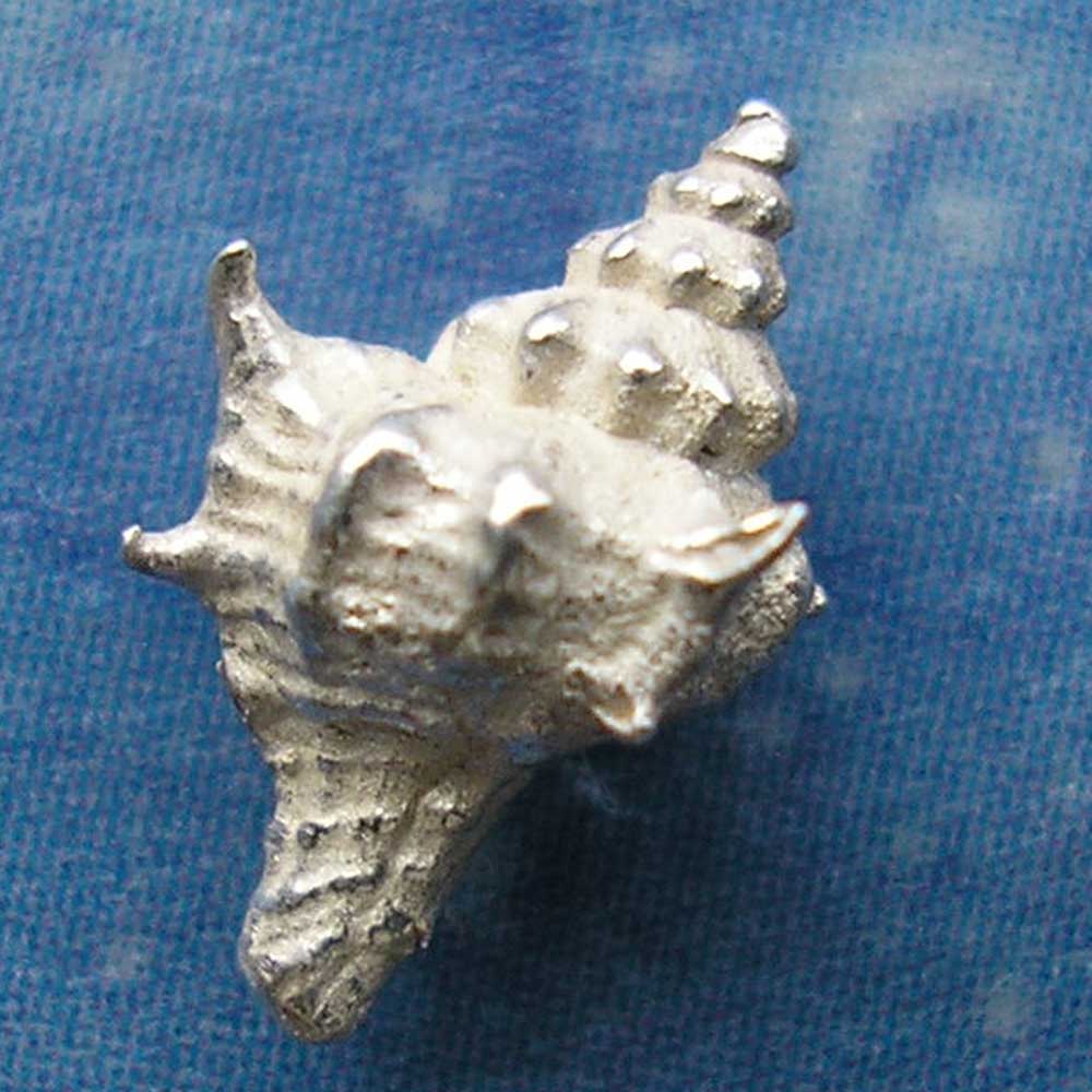 Schneckenschmuck Ohrstecker Herkuleskeule