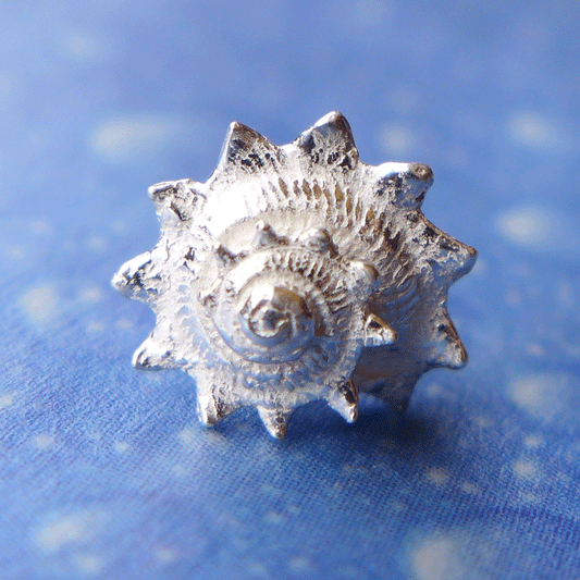 Schneckenschmuck Ohrstecker Sonne