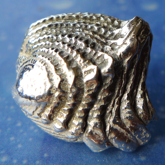 Scuba Muschel Ohrringe Schuppen