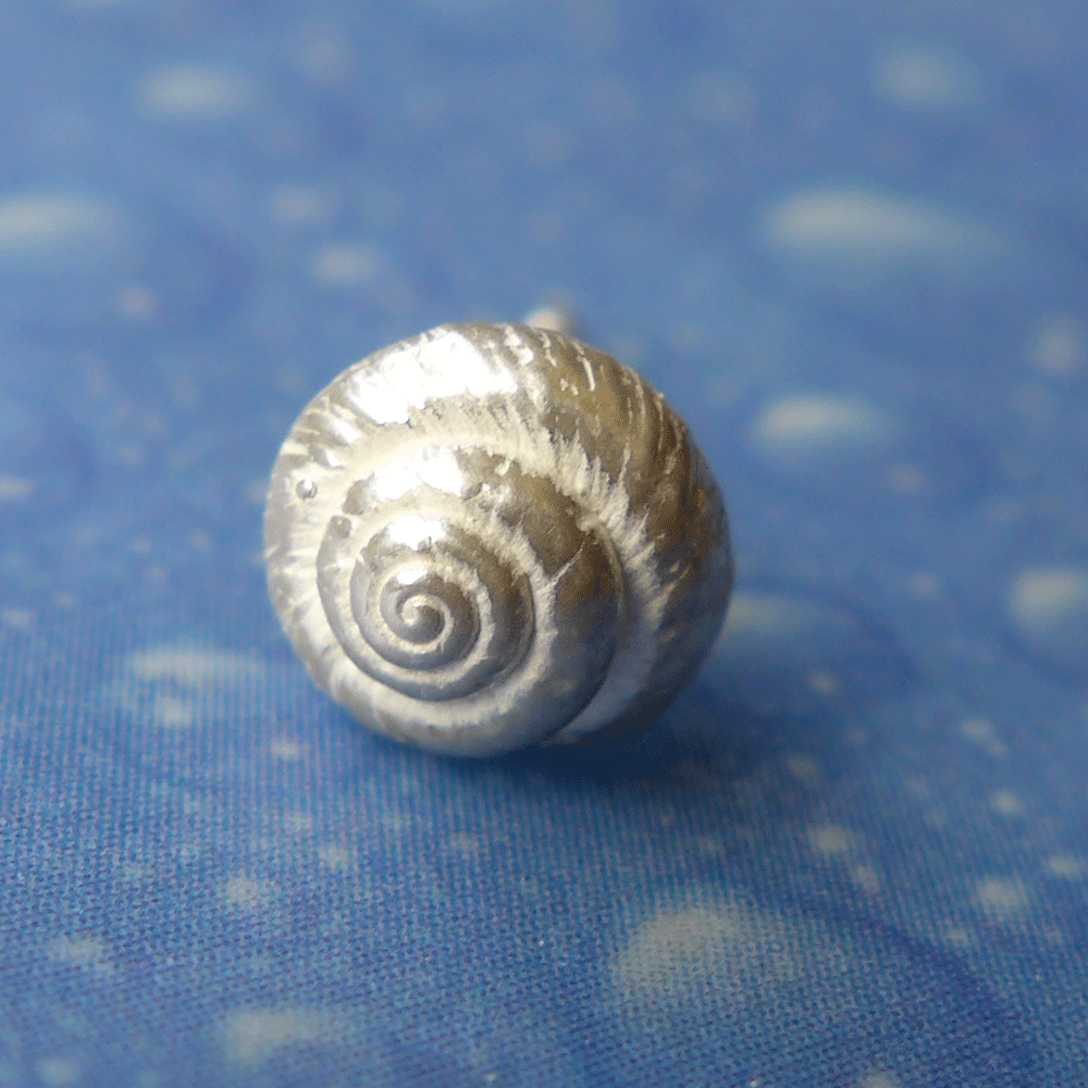 Scuba Schmuck Knopfschnecke Ohrstecker f