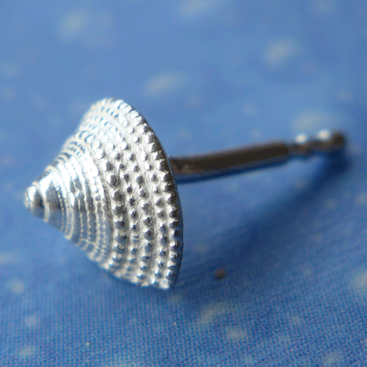 See Silberschmuck Stecker Kreiselschnecke Meer