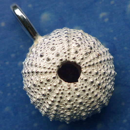 Seeigel Kette Schmuck Silber