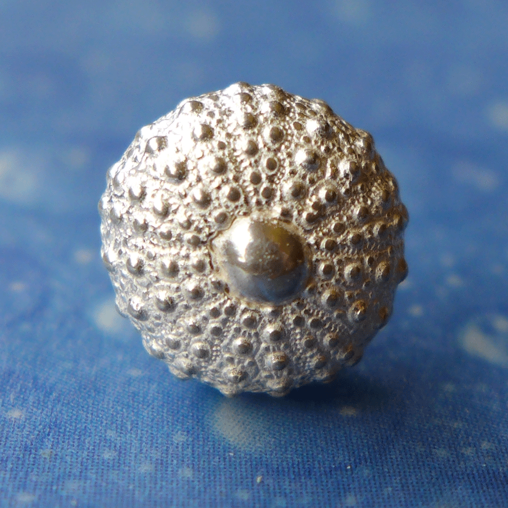 Silber Seeigel Ohrringe