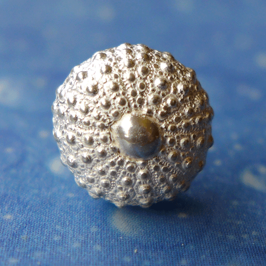 Silber Seeigel Ohrringe