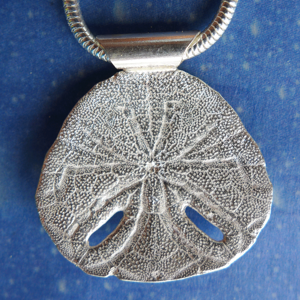 Seeigel Sanddollar Silber Madagascar