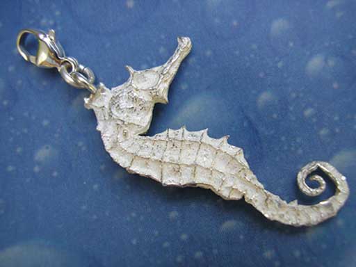Seepferdchen Charms Silber Mädchen