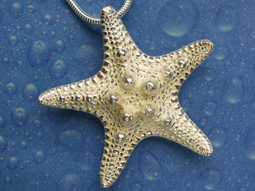 Seestern Schmuck Kette Anhänger Silber
