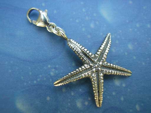 Seestern Charms Meeresmotiv Schmuck
