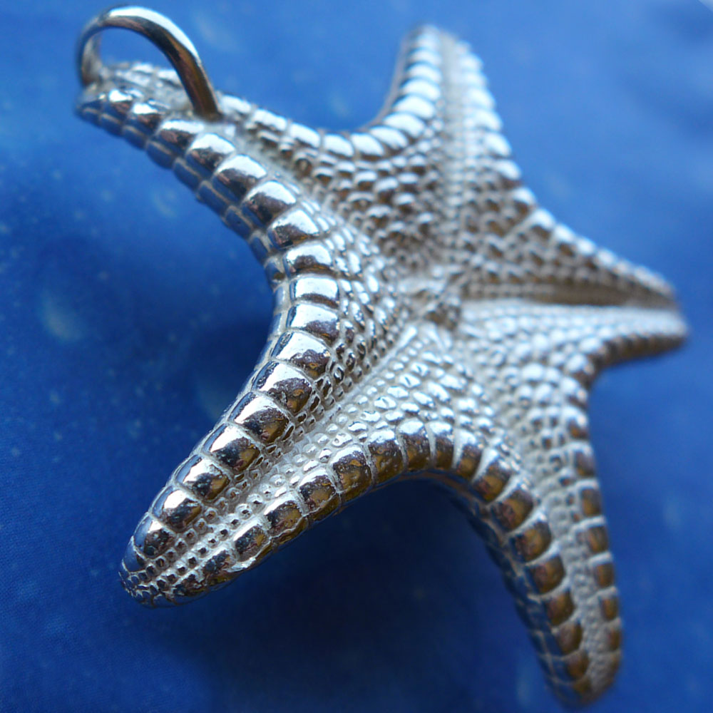 Schmuck Seesternkettenanhänger Silber