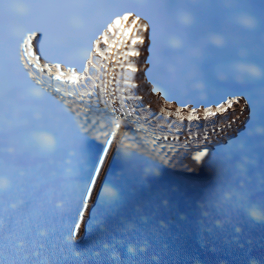 Kissen Seestern Schmuck Ohrringe Silber