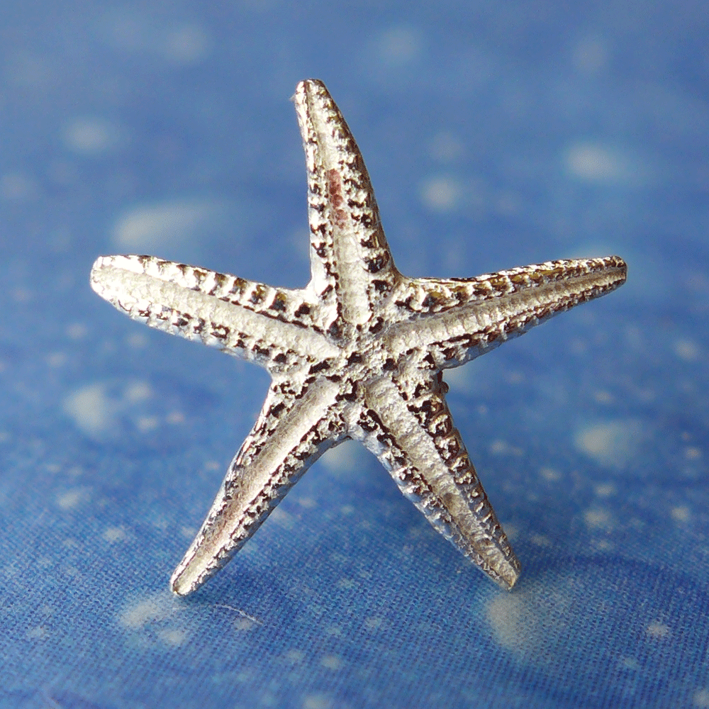 Ohrstecker Silber Seestern Schmuck