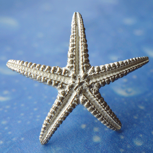 Seestern Ohrstecker Silber Schmuck