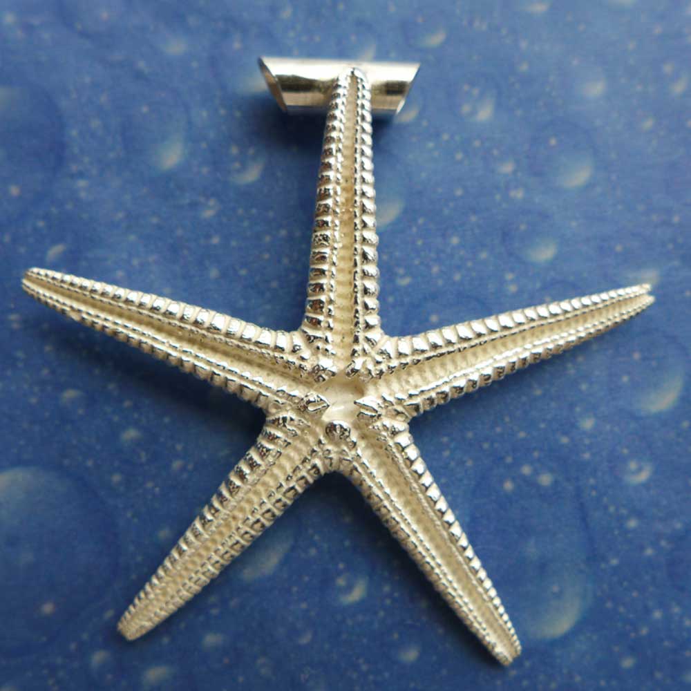 Seestern Schmuck Anhänger Silber