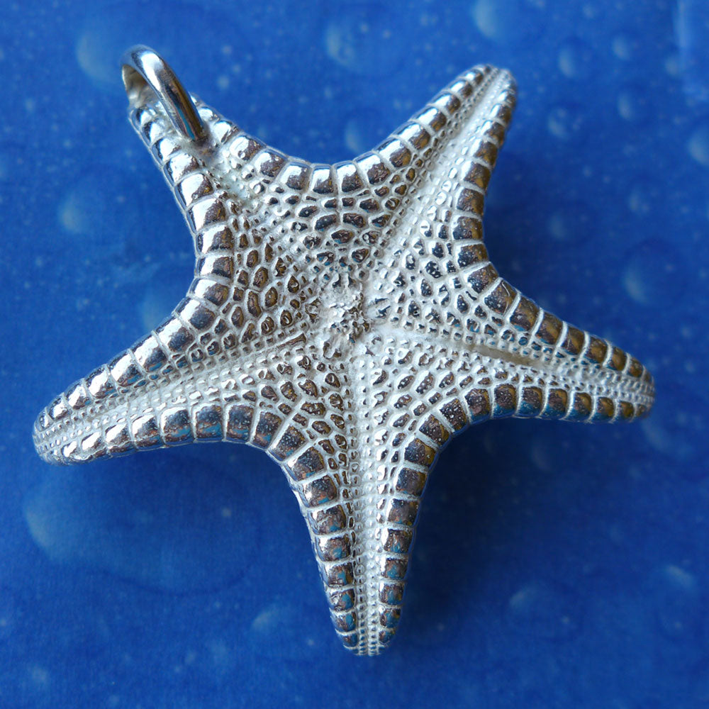 Seesternschmuck Silberanhänger Kette