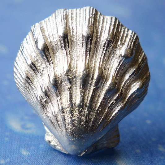 Schmuck Shell Löwenpranke Ohrringe