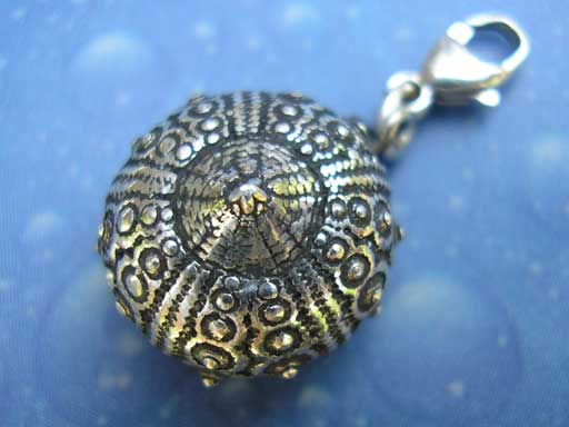 Silber Charms Seeigel Galapagos