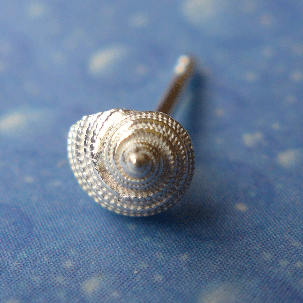 Meer Ohrringe Silber Erdbeerschnecke