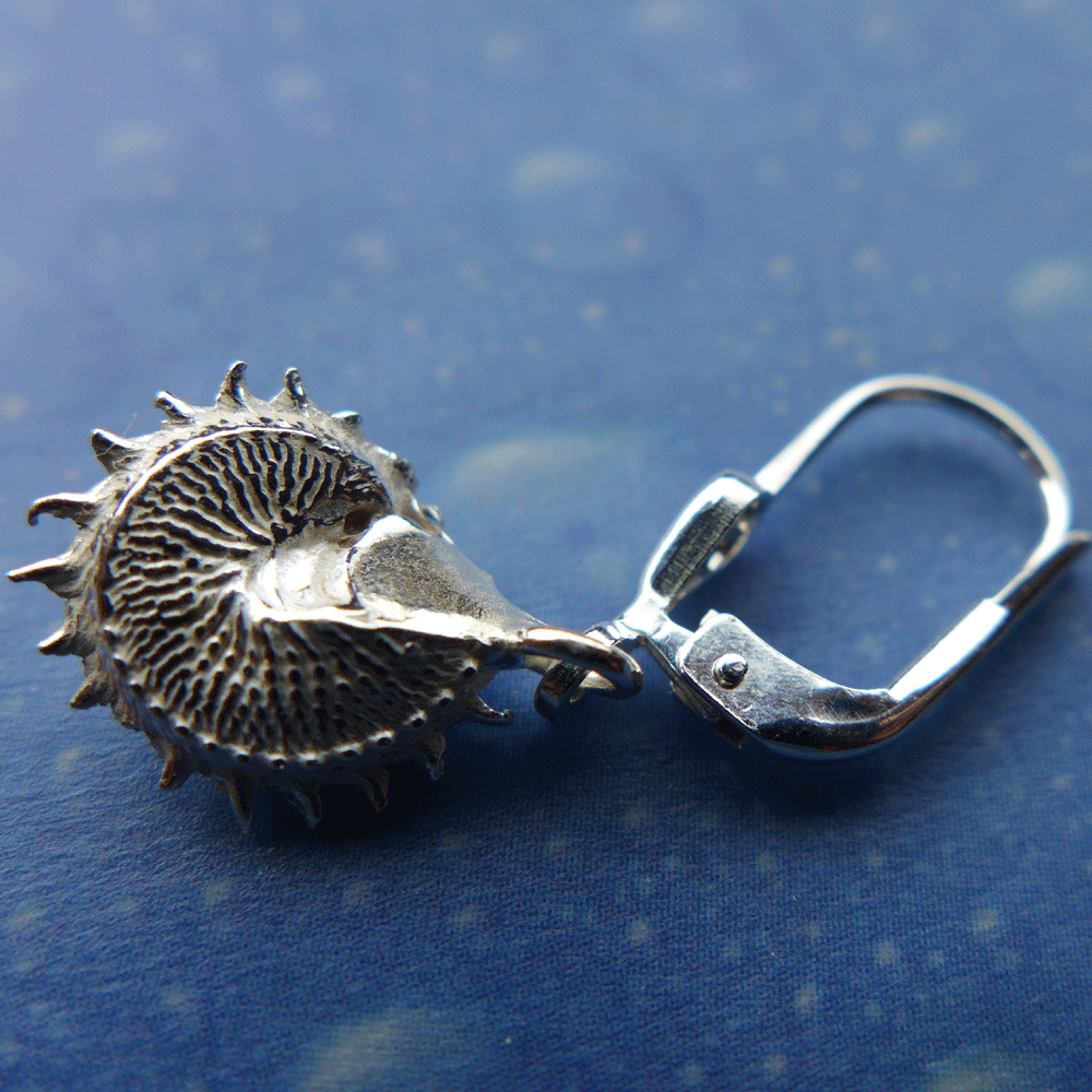 Meeres Ohrringe Sonne Silber Schmuck