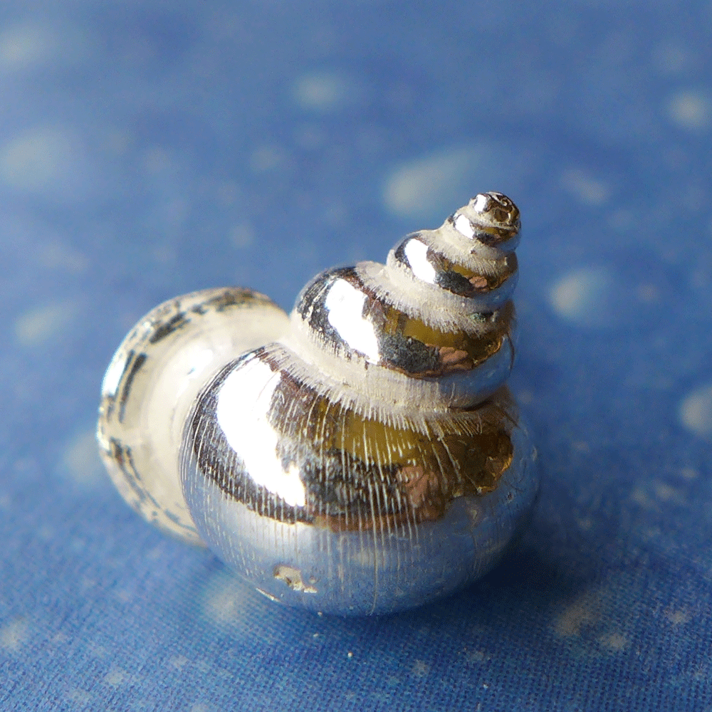 Silber Ohrstecker Meeresmotiv Wendeltreppe glatt