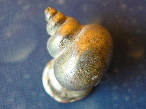 Silber Ohrstecker Meeresmotiv Wendeltreppe